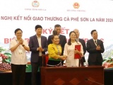 Kết nối giao thương, đưa cà phê Sơn La chinh phục thị trường quốc tế