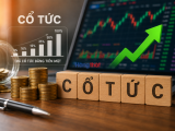 Lịch trả cổ tức tuần 12/10 - 16/10: HDBank chia cổ phiếu 30%, 3 công ty trả tiền mặt 15%