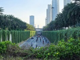 Hà Nội định hướng mỗi tuyến phố trồng một loài cây chủ đạo 