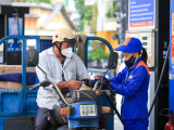VCCI đề nghị làm rõ quyền tự quyết giá xăng dầu, bỏ rào cản phân phối