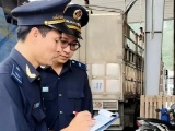 Hải quan kiến nghị tháo gỡ vướng mắc đối với urê nhập khẩu