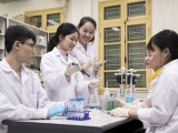 Tập trung thu hút nhân tài, tăng cường kết nối cung - cầu lao động
