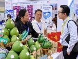 HCMC Export 2026: Đòn bẩy đưa hàng Việt vươn ra thị trường quốc tế