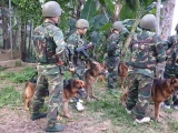 Hà Tĩnh: Đánh án vùng biên giới, thu giữ gần 300kg ma túy