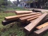 Hương Khê - Hã Tĩnh: Mạnh tay 'tuyên chiến' với gỗ lậu dịp Tết Nguyên đán
