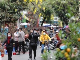 Thời tiết mùng 1 Tết: Miền Bắc hửng nắng, Hà Tĩnh đến Quảng Ngãi có mưa 