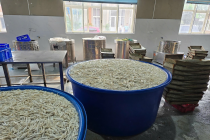 Tạm giữ hơn 13 tấn chân gà ngâm hóa chất chuẩn bị tuồn vào thị trường 