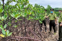 Quảng Ninh xây dựng chính sách đặc thù về lĩnh vực nông nghiệp