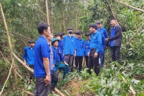 Tuổi trẻ Thanh Hoá tình nguyện tham gia hỗ trợ xây dựng đường dây 500kV mạch 3 về đích
