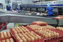 Giá trứng gà, vịt đồng loạt tăng từ 2.000 - 5.000 đồng/chục
