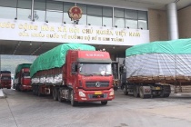 Thanh long và vải thiều được xuất khẩu thí điểm qua cửa khẩu Lào Cai