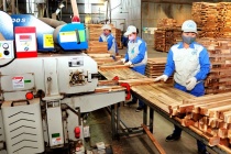 Việt Nam chi gần 2 tỷ USD nhập khẩu gỗ nguyên liệu trong năm 2022