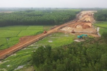 Đất cho cao tốc Bắc - Nam: Toàn bộ diện tích qua tỉnh Quảng Ngãi là rừng trồng sản xuất, không có rừng tự nhiên