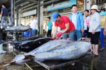 Xuất khẩu cá ngừ khởi sắc, đạt mức cao nhất từ đầu năm 