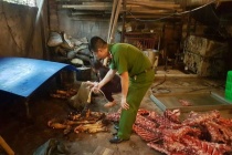 Hà Nội: Tiêu hủy 6,8 tấn thực phẩm không rõ nguồn gốc