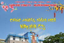 Công ty Than Hạ Long - TKV: Chúc mừng năm mới Ất Tỵ 2025