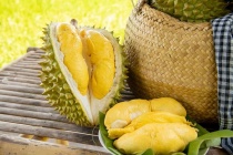 Phó Thủ tướng giao Bộ NN&MT xử lý thông tin 'Sầu riêng vẫn loay hoay giải quyết chất vàng O'