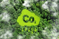 Cuối năm 2025, dự kiến vận hành thử nghiệm sàn giao dịch carbon