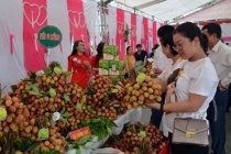 Trái cây Việt Nam thu hút sự quan tâm tại lễ hội rau củ ở Singapore