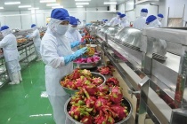 Nông sản Việt bứt phá tại thị trường Trung Quốc
