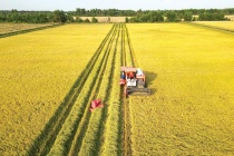 Các trường hợp được miễn thuế sử dụng đất nông nghiệp đến hết ngày 31/12/2030