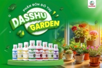 Dasshu Garden - Bí quyết giúp cây trồng trong nhà khoẻ mạnh, xanh tốt