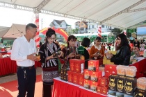 Khai mạc Ngày hội sản phẩm vùng đồng bào dân tộc thiểu số, miền núi phía Bắc 2025