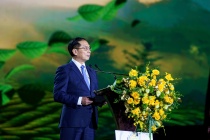 Khai mạc lễ hội Trà quốc tế, đưa văn hoá và kinh tế trà Việt vươn ra thế giới