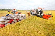 Bộ Công Thương định hướng các giải pháp thúc đẩy xuất khẩu gạo bền vững