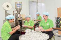 HTX Nông nghiệp hữu cơ Hồng Phát: Động lực phát triển kinh tế nông thôn ở Tuyên Quang