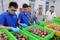 Ngành hàng chanh leo Việt Nam hướng đến phát triển bền vững theo chuỗi liên kết