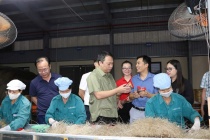 Hợp tác xã Miến Việt Cường: Mô hình HTX điển hình thúc đẩy kinh tế từ sản phẩm truyền thống ở Thái Nguyên