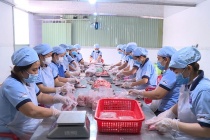 HTX Kỳ Như: Khẳng định vai trò kinh tế tập thể trong thời kỳ mới ở Cần Thơ