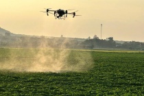 Hợp tác xã Nông nghiệp 714: Điểm tựa giảm nghèo bền vững trên vùng đất Tây Nguyên