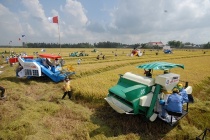 5 trụ cột chiến lược phát triển bền vững vùng Đồng bằng sông Cửu Long