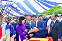 Trà hoa vàng Hakodae Orgavina: “Nữ hoàng của các loài trà” giữa núi rừng miền Bắc 