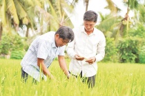 Nghị quyết 57-NQ/TW: Chuyển đổi số tạo đòn bẩy nâng cao giá trị sản phẩm nông nghiệp