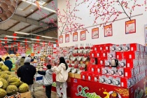 Hàng hóa dồi dào, giá thực phẩm thiết yếu giảm mạnh dịp tết Bính Ngọ 2026