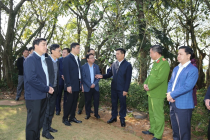 Thanh Hóa: Bảo vệ và phát huy giá trị của di tích là một nhiệm vụ rất quan trọng