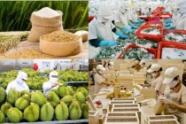 Năm 2026, cả nước phấn đấu xuất siêu trên 23 tỷ USD