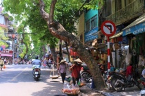 Dự báo thời tiết ngày 14/1: Bắc Bộ nắng hanh, rét về đêm và sáng sớm