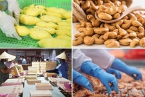 Ngành Nông nghiệp và Môi trường đặt mục tiêu xuất khẩu 74 tỷ USD trong năm 2026