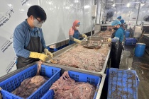 Thu giữ gần 60 tấn lòng lợn đổi màu, bốc mùi hôi thối ở Hà Nội