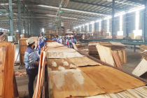 Hoa Kỳ công bố kết luận sơ bộ thuế chống trợ cấp với gỗ dán Việt Nam