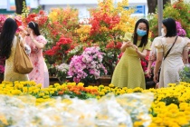 ROX Living Diễn Châu: Điểm hẹn lễ hội và không gian sống – kinh doanh mới của Bắc Nghệ An