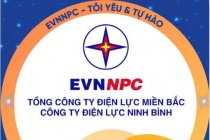 Công ty Điện lực Ninh Bình bảo đảm cung cấp điện an toàn, ổn định dịp Tết Nguyên đán 2026
