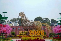 Công viên Hoa Xuân 152 Trần Phú chính thức mở cửa từ ngày 10/02/2026: Thêm điểm check-in cho người dân TP. HCM trong dịp đầu năm mới