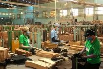 Ngành gỗ Việt Nam và bài toán thích ứng trước lộ trình EUDR