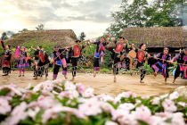 Gợi ý những điểm du xuân miền Bắc dịp Tết Bính Ngọ 2026