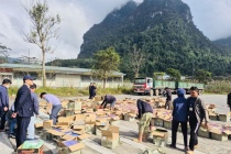 Phát hiện đường dây buôn lậu thuốc lá điện tử kỷ lục, đặc biệt nghiêm trọng